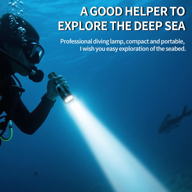 D117 Aluminum Waterproof IPX8  - огляд і ціна Fishing Light